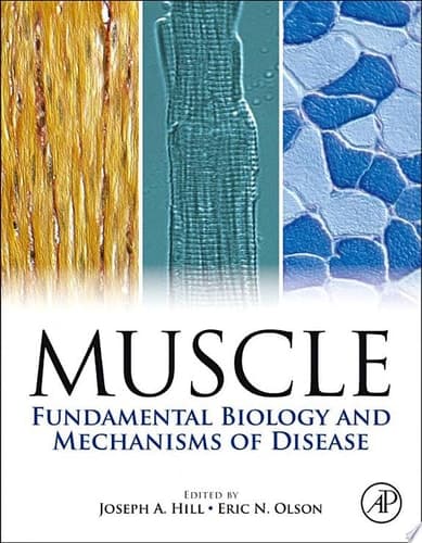 Muscle 2-Volume Set: Fundamental Biology and Mechanisms of Disease
