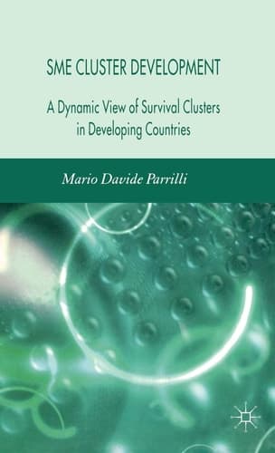 SME Cluster Development A Dynamic View of Survival Clusters in Developing Countries