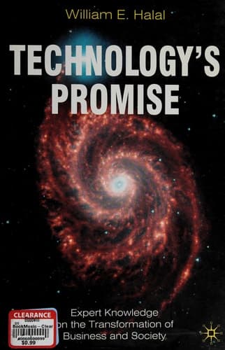 Technology's Promise Expert Knowledge on the Transformation of Business and Society