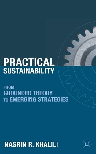 Practical Sustainability From Grounded Theory to Emerging Strategies