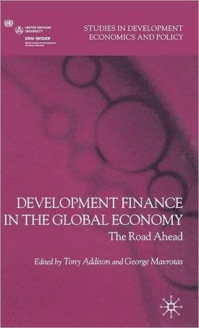 Development Finance in the Global Economy: The Road Ahead (Studies in Development Economics and Policy)