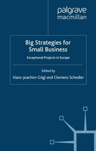 Big Strategies for Small Business Exceptional Projects in Europe