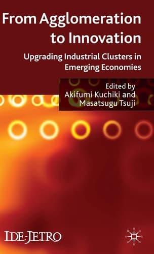 From Agglomeration to Innovation Upgrading Industrial Clusters in Emerging Economies