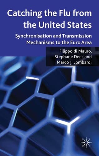 Catching the Flu from the United States: Synchronisation and Transmission Mechanisms to the Euro Area