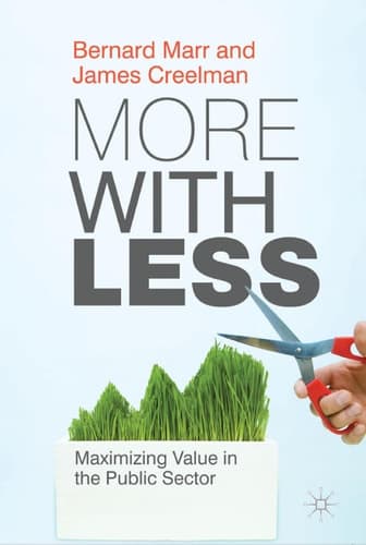 More with Less Maximizing Value in the Public Sector