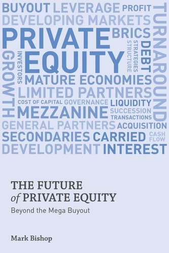 The Future of Private Equity Beyond the Mega Buyout