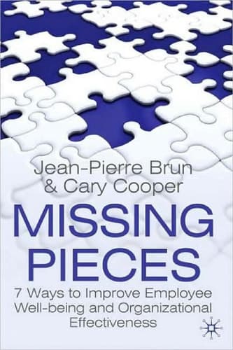 Missing Pieces 7 Ways to Improve Employee Well-Being and Organizational Effectiveness