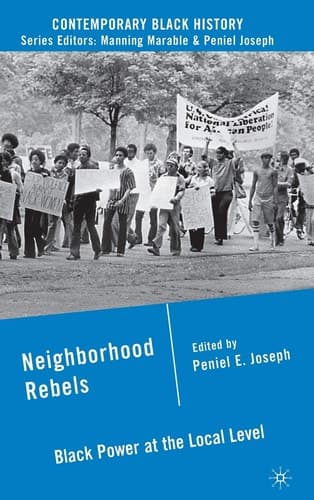Neighborhood Rebels Black Power at the Local Level