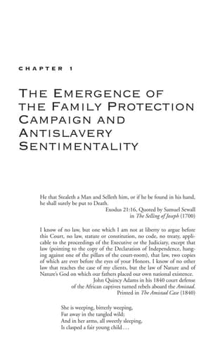 Antislavery Discourse and Nineteenth-Century American Literature: Incendiary Pictures