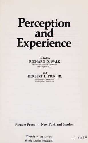 Perception and Experience