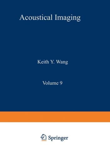 Acoustical Imaging Visualization and Characterization