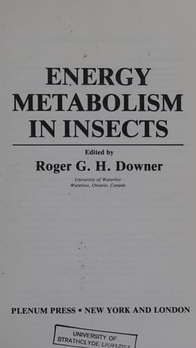 Energy Metabolism in Insects