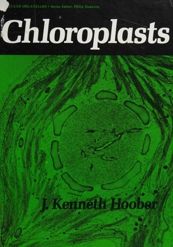 Chloroplasts