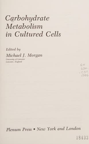 Carbohydrate Metabolism in Cultured Cells
