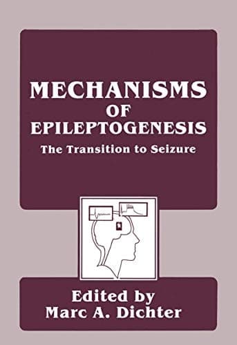 Mechanisms of Epileptogenesis The Transition to Seizure