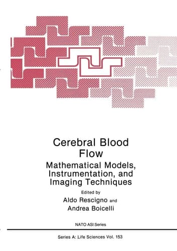 Cerebral Blood Flow: Mathematical Models, Instrumentation, and Imaging Techniques (Nato Science Series A:)