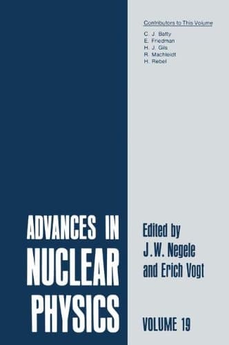 Advances in Nuclear Physics Volume 19