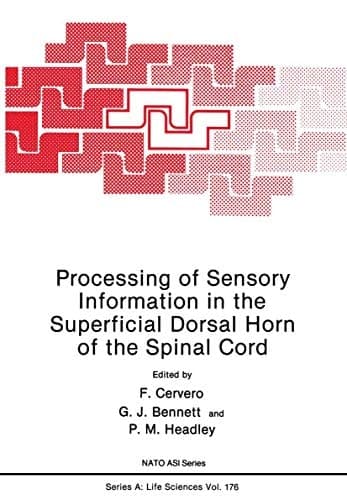 Processing of Sensory Information in the Superficial Dorsal Horn of the Spinal Cord (Nato Science Series A:)