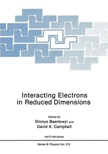 Interacting Electrons in Reduced Dimensions (NATO Science Series B:, 213)