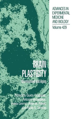 Brain Plasticity Development and Aging