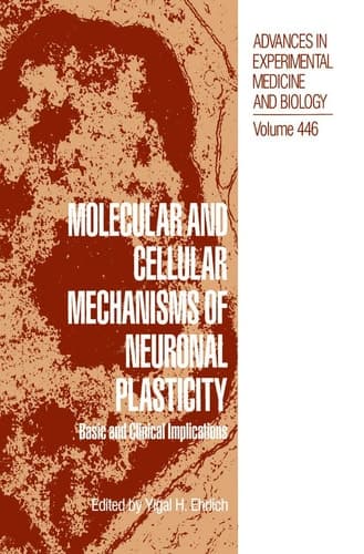 Molecular and Cellular Mechanisms of Neuronal Plasticity Basic and Clinical Implications