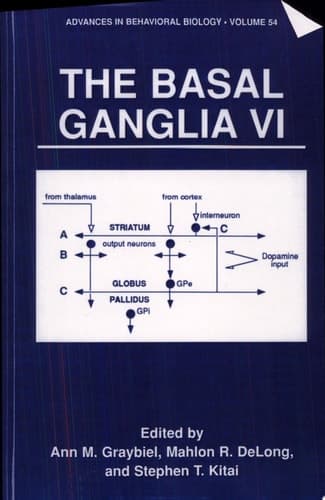 The Basal Ganglia VI