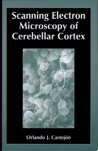 Scanning Electron Microscopy of Cerebellar Cortex