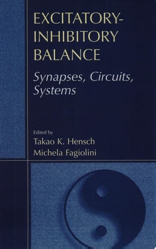 Excitatory-Inhibitory Balance Synapses, Circuits, and Systems