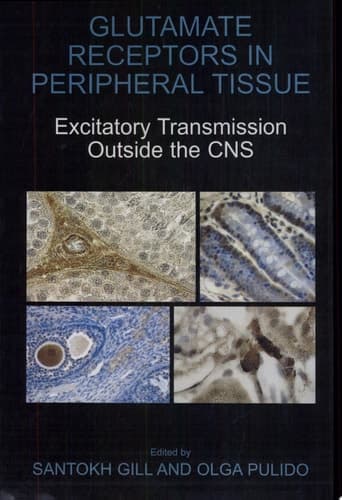 Glutamate Receptors in Peripheral Tissue Excitatory Transmission Outside the CNS