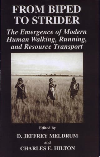 From Biped to Strider The Emergence of Modern Human Walking, Running, and Resource Transport