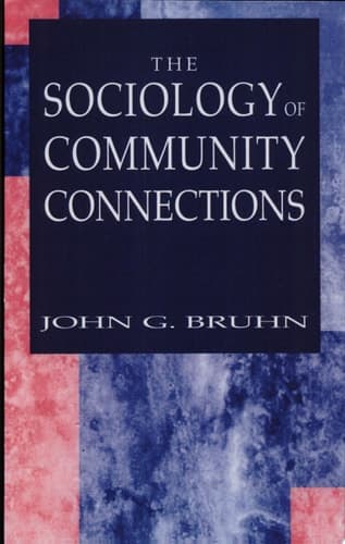 The Sociology of Community Connections