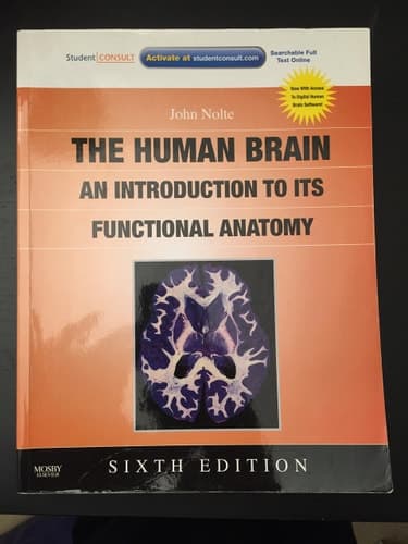 The Human Brain An Introduction to Its Functional Anatomy