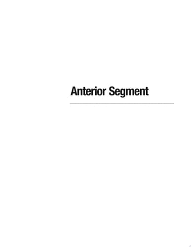 Anterior Segment