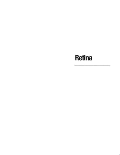 Retina