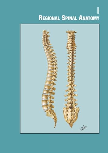 Spine Secrets Plus