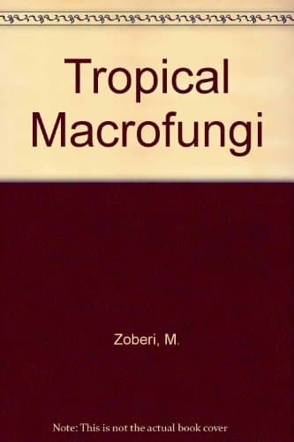 Tropical macrofungi: some common species