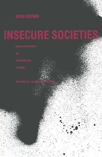 Insecure Societies: Delinquency in Troubled Times
