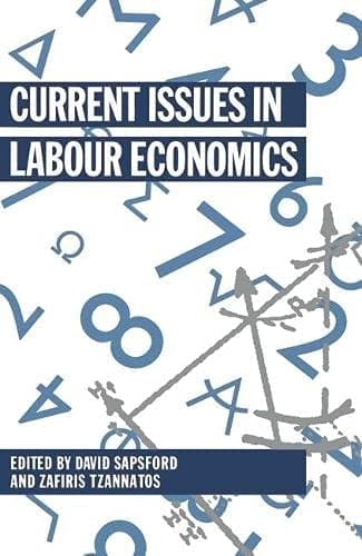 Current Issues in Labour Economics (Current Issues in Economics)