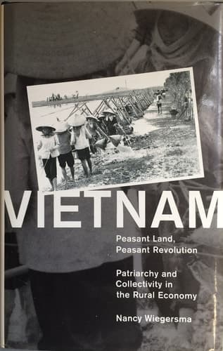 Vietnam, Pleasant Land Revolution