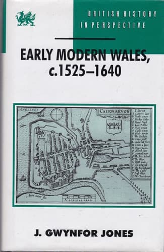 Early Modern Wales, C.1525-1640 (British History in Perspective)