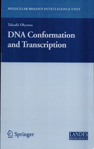 DNA Conformation and Transcription