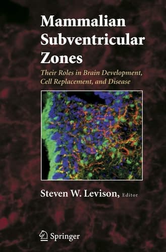 Mammalian Subventricular Zones Their Roles in Brain Development, Cell Replacement, and Disease