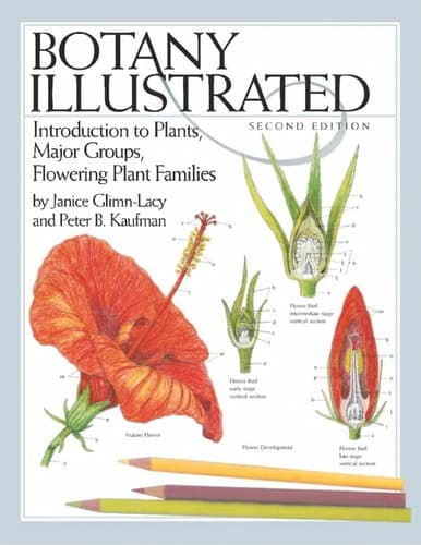 Botany Illustrated Introduction to Plants, Major Groups, Flowering Plant Families