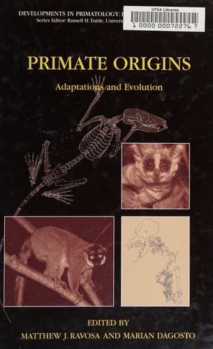 Primate Origins: Adaptations and Evolution