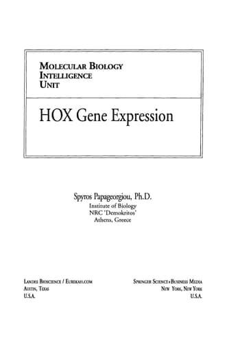 HOX Gene Expression