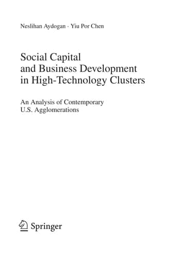 Social Capital and Business Development in High-Technology Clusters An Analysis of Contemporary U.S. Agglomerations