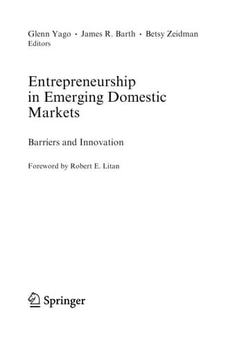 Entrepreneurship in Emerging Domestic Markets Barriers and Innovation