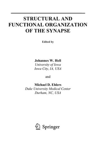 Structural and Functional Organization of the Synapse