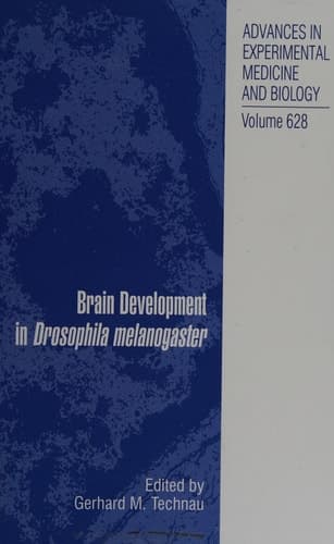 Brain Development in Drosophila melanogaster