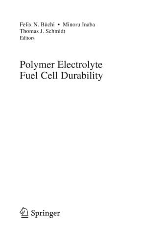 Polymer Electrolyte Fuel Cell Durability